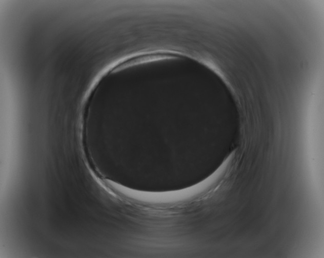 X0000085221508200703301652
