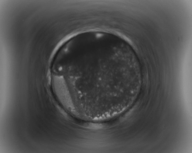 X0000085221509200703301652