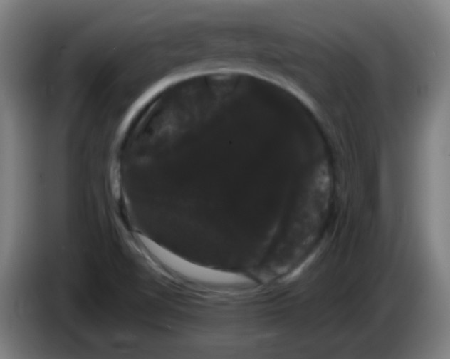 X0000085221510200703301652