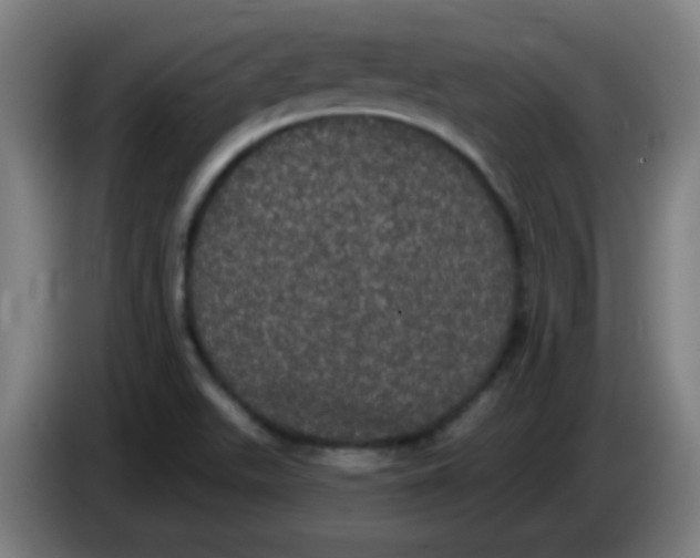 X0000085221511200703301652
