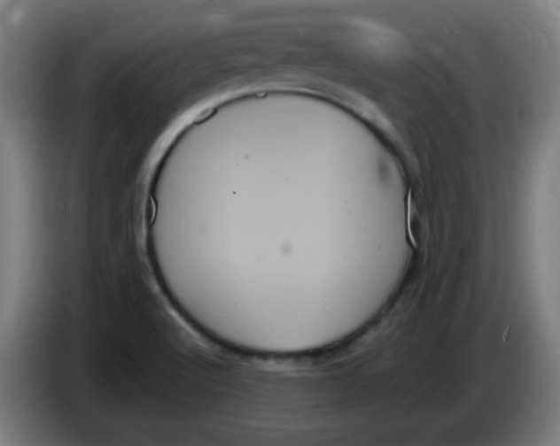 X0000085221512200703301652