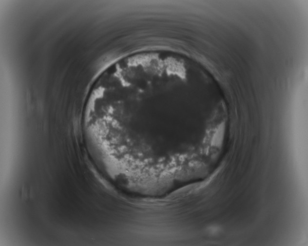 X0000085221513200703301652
