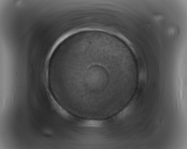 X0000085221514200703301652