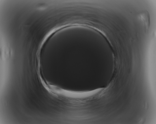 X0000085221515200703301652