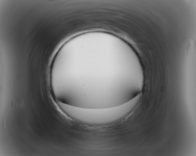 X0000085221516200703301652