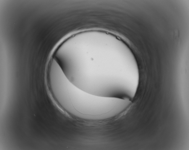 X0000085221518200703301652