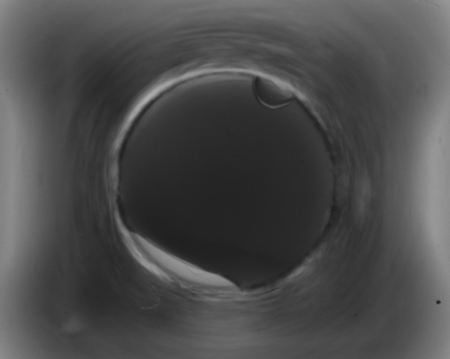 X0000085221519200703301652