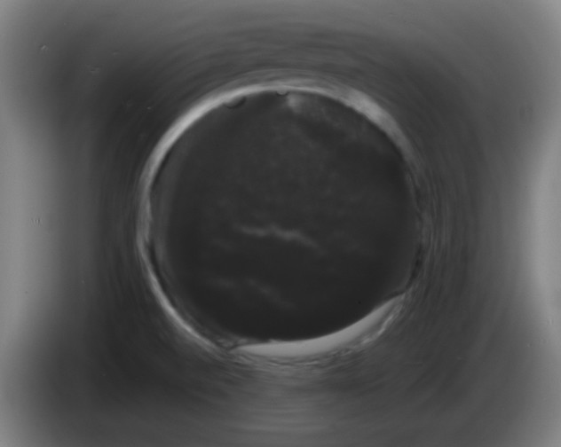 X0000085221520200703301652