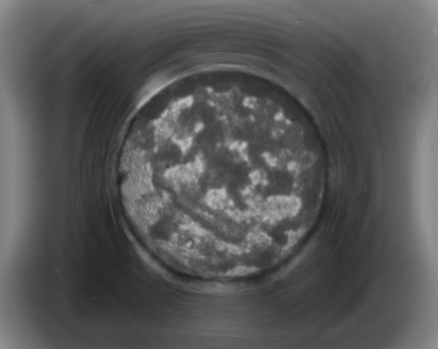 X0000085221521200703301652