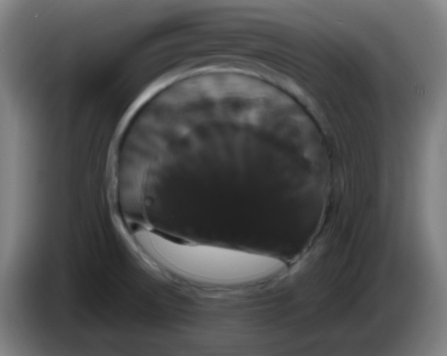 X0000085221522200703301652