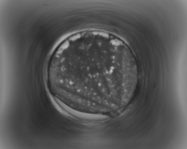 X0000085221523200703301652