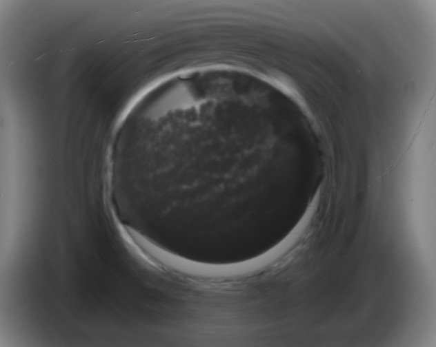 X0000085221524200703301652