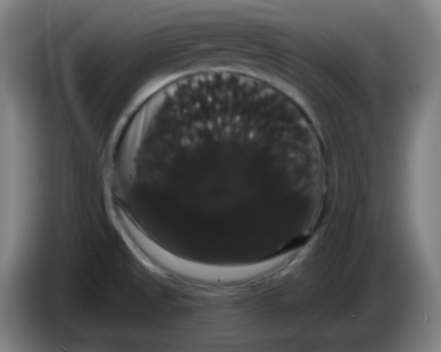 X0000085221525200703301652