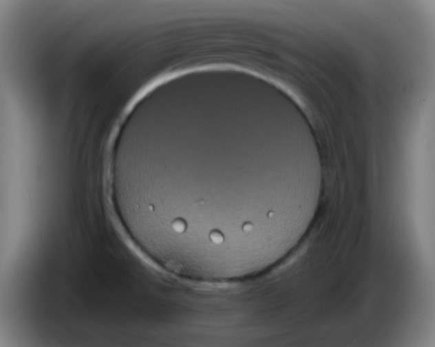 X0000085221526200703301652