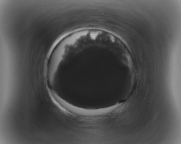 X0000085221527200703301652