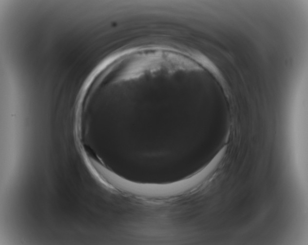 X0000085221528200703301652
