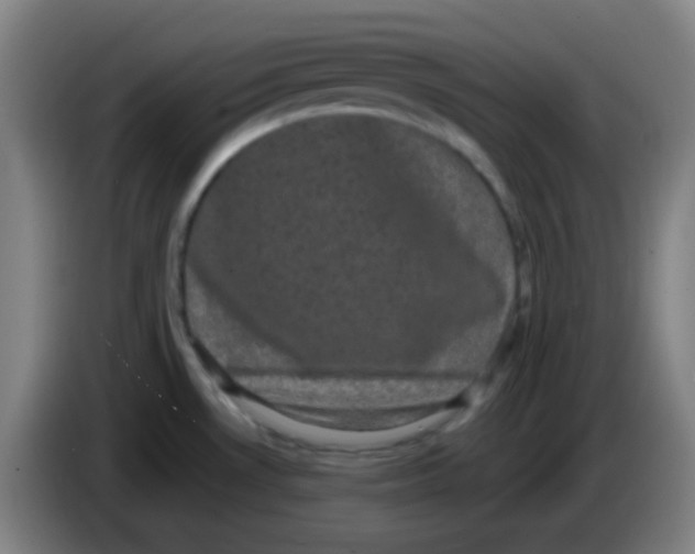 X0000085221530200703301652