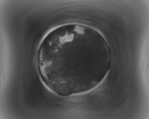 X0000085221531200703301652