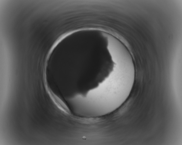 X0000085221533200703301652
