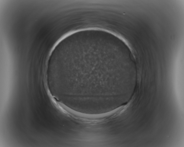 X0000085221534200703301652