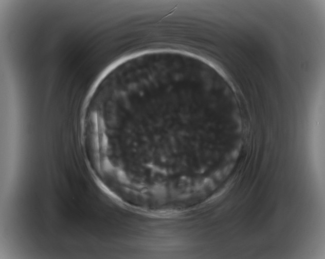 X0000085221535200703301652