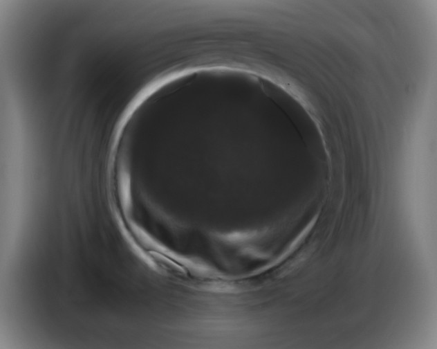 X0000085221536200703301652