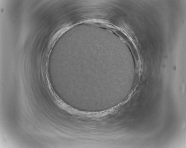 X0000085220001200704091944