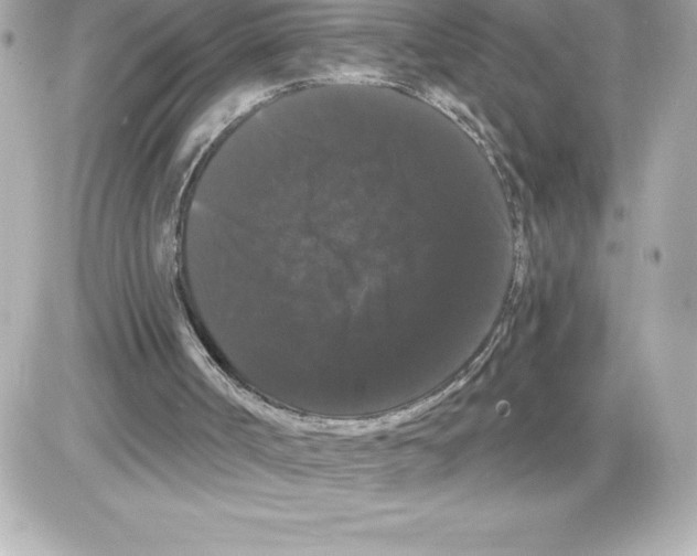 X0000085220002200704091944