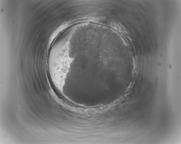 X0000085220003200704091944