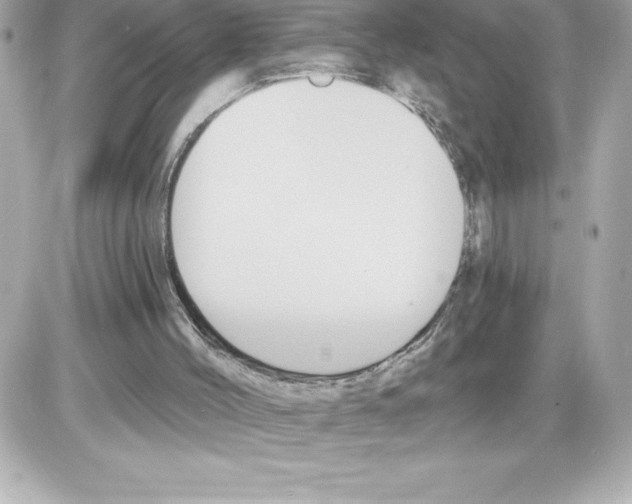 X0000085220004200704091944