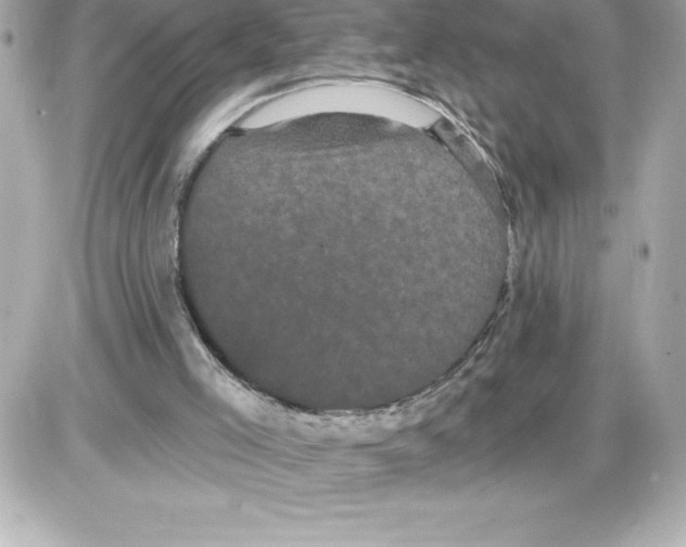 X0000085220005200704091944