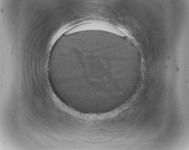 X0000085220007200704091944