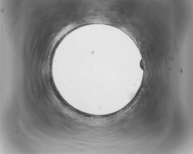 X0000085220008200704091943