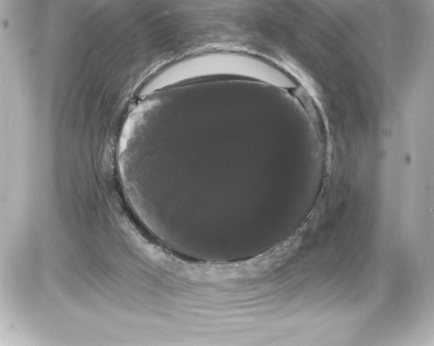 X0000085220009200704091943