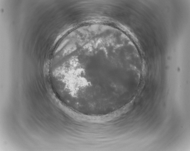 X0000085220010200704091943