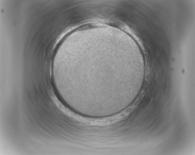 X0000085220011200704091943