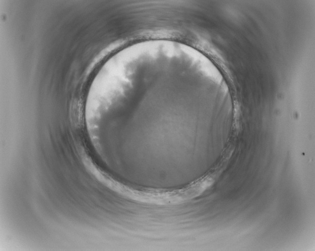 X0000085220012200704091943