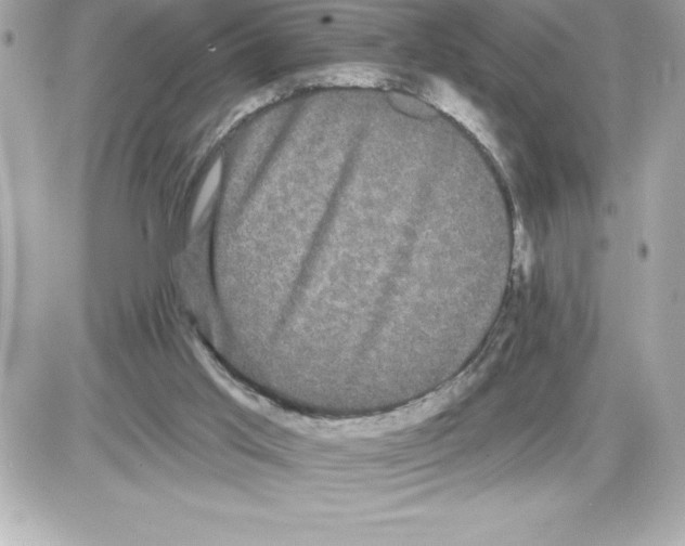 X0000085220013200704091943