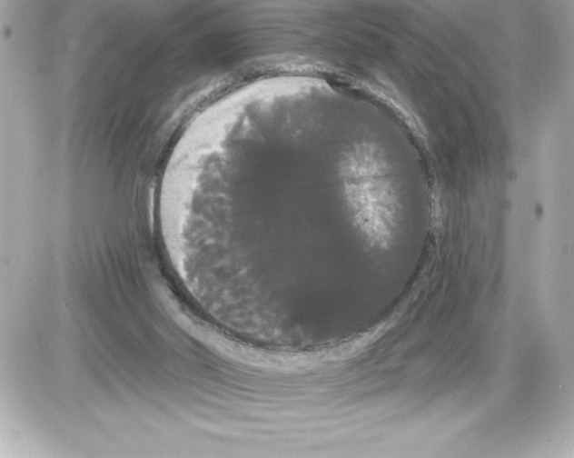 X0000085220014200704091943