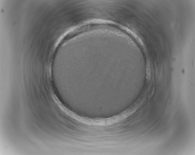 X0000085220015200704091943