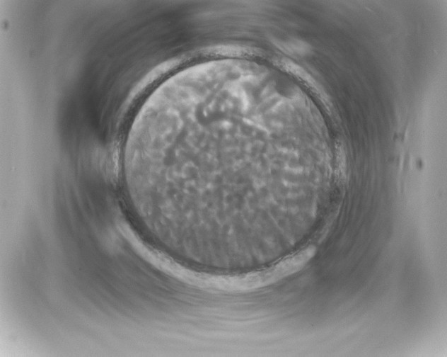 X0000085220016200704091943