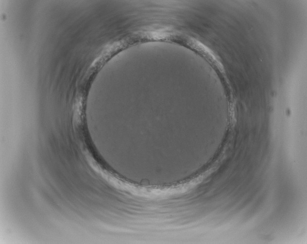 X0000085220018200704091943