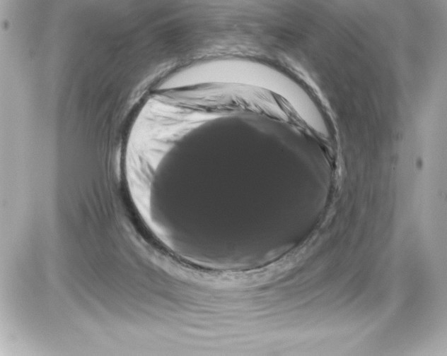 X0000085220019200704091943