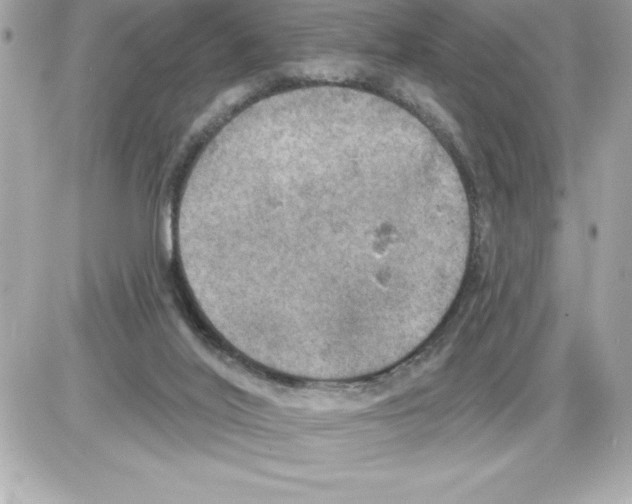 X0000085220020200704091943