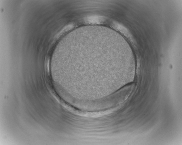 X0000085220021200704091943