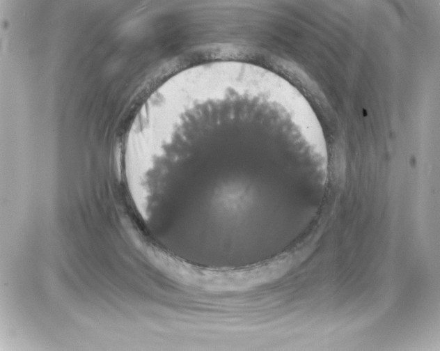 X0000085220022200704091943