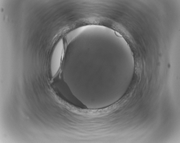 X0000085220023200704091943