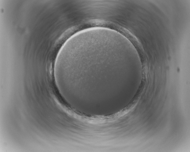 X0000085220024200704091943