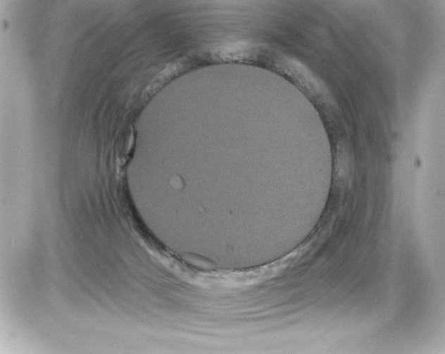 X0000085220025200704091943