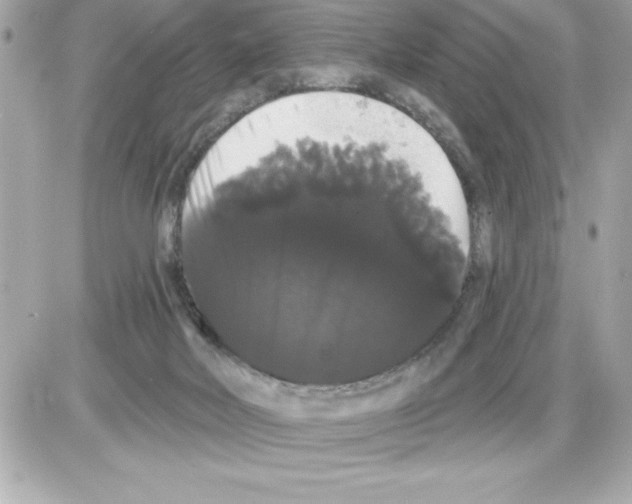 X0000085220026200704091943